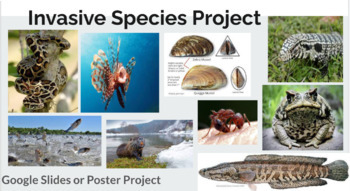 Preview of Invasive Species Research Project