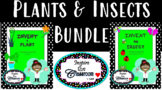 Invent an Insect and Plant Bundle