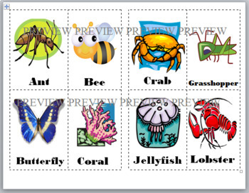invertebrates pictures printable