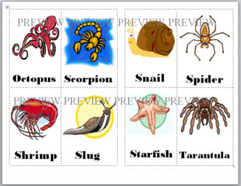 Bingo Printable Invertebrate Animals Bingo Game (Animal Classification)