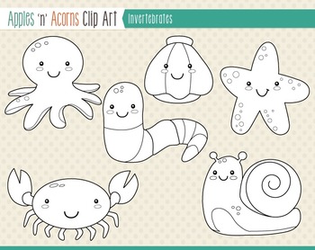 Invertebrate Animals Clip Art - color and outlines by Apples 'n' Acorns