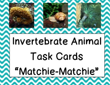 Preview of Invertebrate Animals (Task Card Matching)