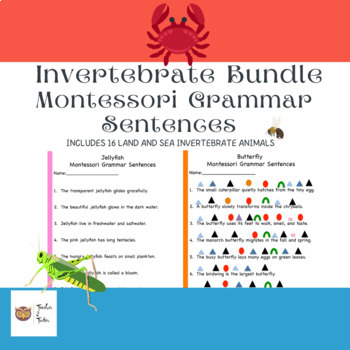 Preview of Invertebrate Bundle Montessori Grammar Sentences