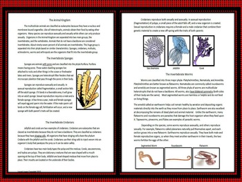 Invertebrate Classification and Characteristics by Living Things