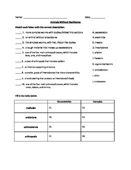 Invertebrates: Animals Without Backbones Quiz Assessment by Ashley Yaskis