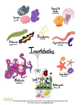 Preview of Invertebrates: Creepies and Crawlies!