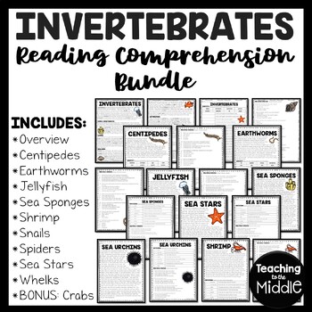 Preview of Invertebrates Informational Text Reading Comprehension Bundle Animal Groups