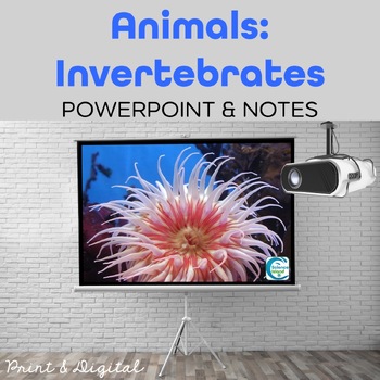 Preview of Invertebrates PowerPoint and Notes - PowerPoint and Google Slides