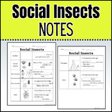 Invertebrates: Social Insect Notes