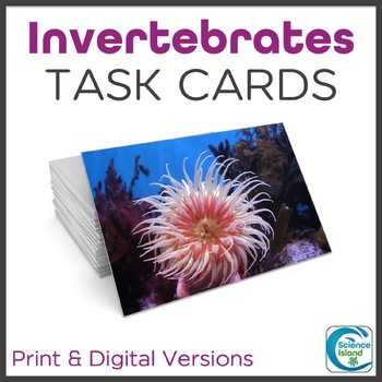 Preview of Invertebrates Task Cards Activity for Biology