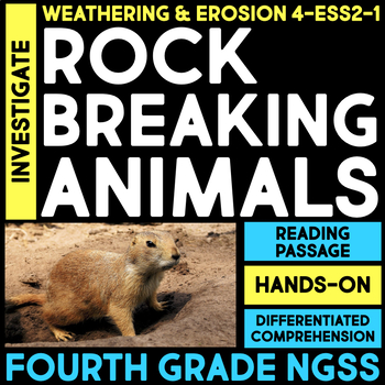 44+ Burrowing animals clipart weathering
