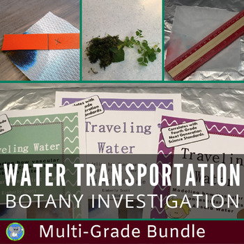 Preview of Investigate How Plants Transport Water | Grade K To 5 Science Experiment Bundle