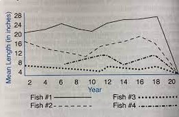 Preview of Investigate average lengths of fish species living together in same niche