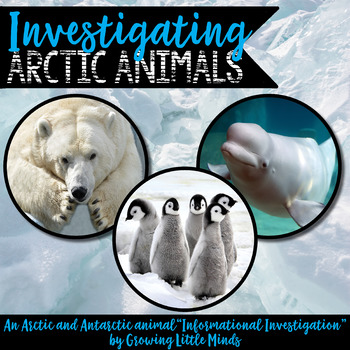 Preview of Informational Writing Arctic (and Antarctic!) Animals