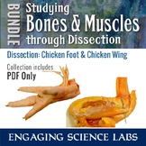 Bones and Muscles and Tendons Dissection: Chicken Wing and