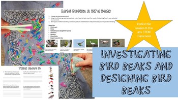 Preview of Investigating & Engineering Bird Beaks (Animal Adaptations, Survival, K-8 STEM)