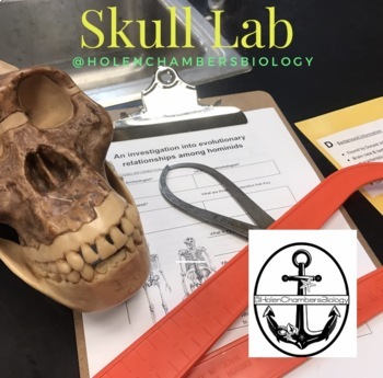 Preview of Biology - EVOLUTION: 5E CER Evolution Skull Lab - includes Skull Pictures!