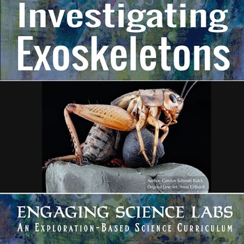 Preview of Investigating Exoskeletons; Comparative Anatomy with Paper, Scissors & Tape