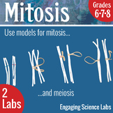 Genetics: Mitosis and Meiosis Lab Activity—A Cell Division Dance