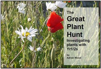 Preview of Investigating Plants and how they grow - The Great Plant Hunt