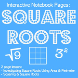 Investigating Square Roots & Squaring Lesson & Interactive