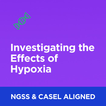 Preview of Investigating the Effects of Hypoxia