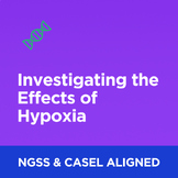 Investigating the Effects of Hypoxia