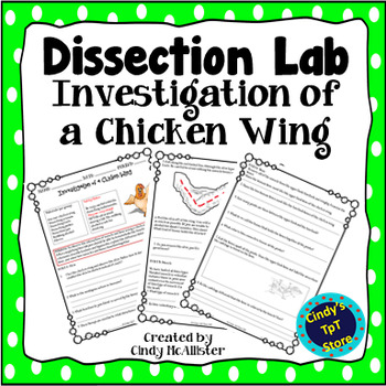Preview of Investigation of a Chicken Wing