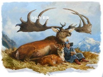 Preview of Irish Elk - Extinct - Power Point - Information History Facts Pictures