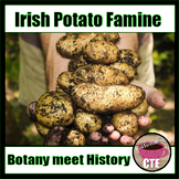 Irish Potato Famine: The Potato Late Blight