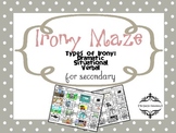 Irony Picture Maze Activity for Middle and High School