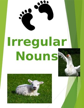 Preview of Irregular Nouns Distant Learning