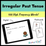 Irregular Past Tense Verbs Sentence Practice 