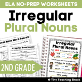 Irregular Plural Noun Worksheets & Poster for 2nd Grade L.2.1.b