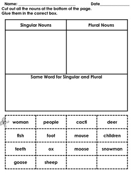 Irregular Plural Nouns by Mrs G Dual Language | Teachers Pay Teachers