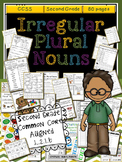 Irregular Plural Nouns