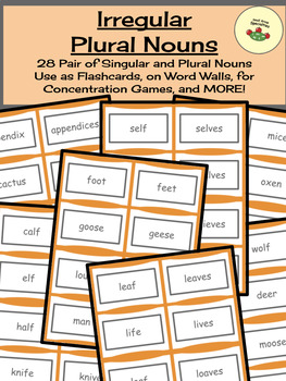 Preview of Irregular Plural Nouns - 28 Pair of Singular and Plural Noun Word Cards