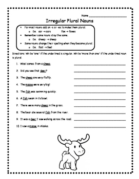 Irregular Nouns Worksheets Skill Practice Irregular Plural Nouns Activities