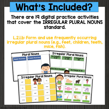 Regular & Irregular Plural Nouns Guided Practice - Lets Quiz