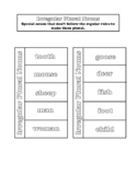 Irregular Plural Nouns Interactive Notebook