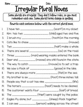 Irregular Plural Nouns Worksheet by LearnersoftheWorld | TpT