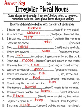 Regular & Irregular Plural Nouns Guided Practice - Lets Quiz
