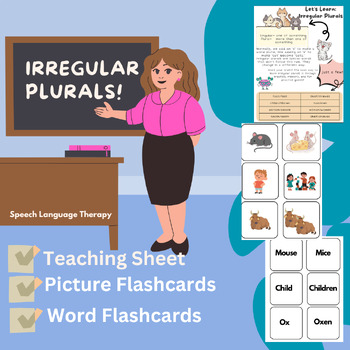 Preview of Irregular Plurals Flashcards