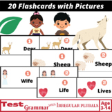 Irregular Plurals Flashcards for Young Learners