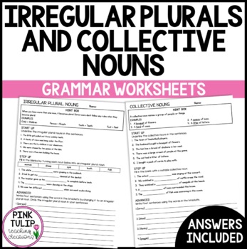 Preview of Irregular Plurals and Collective Nouns - Grammar Worksheets with Answers