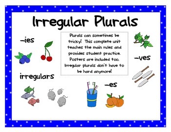 irregular plurals student practice booklet rule posters