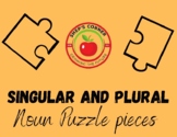 Irregular Singular and Plural Noun Puzzle Pieces