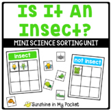 Is It An Insect? - Mini Science Sorting Unit