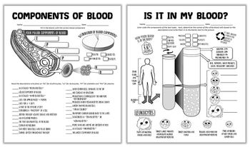 Is It In My Blood? The Components of Blood Worksheet ...