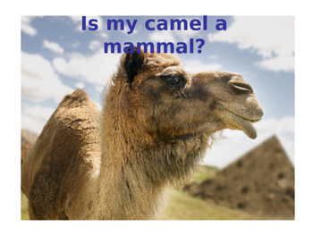 Preview of Is My Camel a Mammal?